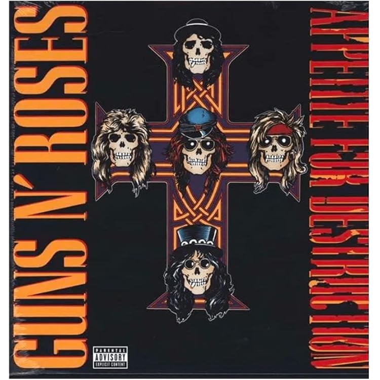 Appetite For Destruction [VINYL]: Amazon.co.uk: CDs & Vinyl