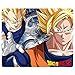 Produktbild Dragonball Z - Mausmatte Mauspad - Son Goku & Vegeta - 23 x 19 cm