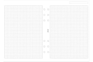 Filofax 342905 Recharge pour Organiseur papier quadrillé Blanc