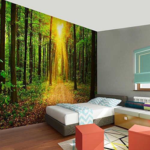 Fototapete Wald 352 x 250 cm – Vliestapete – Wandtapete – Vlies Phototapete – Wand – Wandbilder XXL – !!! 100% MADE IN GERMANY !!! Runa Tapete 9120011a - 5