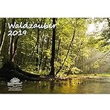 Waldzauber · DIN A3 · Premium Kalender 2019 · Wald · Bäume · Baum · Edition Seelenzauber by 