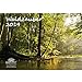 Waldzauber · DIN A3 · Premium Kalender 2019 · Wald · Bäume · Baum · Edition Seelenzauber by 