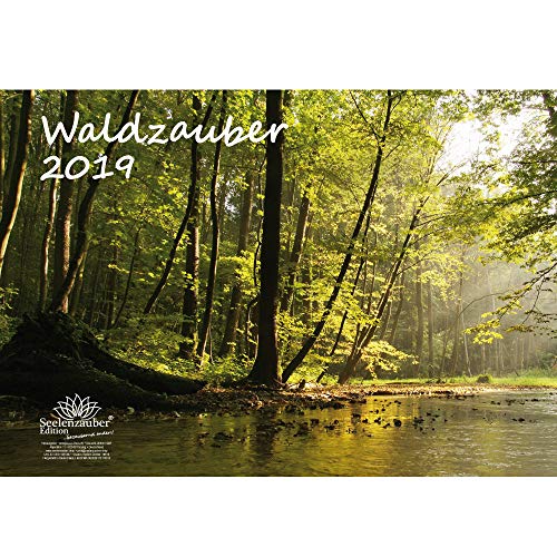 Waldzauber · DIN A3 · Premium Kalender 2019 · Wald · Bäume · Baum · Edition Seelenzauber