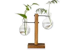 GLASSEAM Station De Propagation avec Support en Bois 2 Ampoule Vintage Avocat Vase Tube à Essai en Verre Vases pour Fleurs Plante De Gland pour La Maison Table Bureau Décor Intérieur