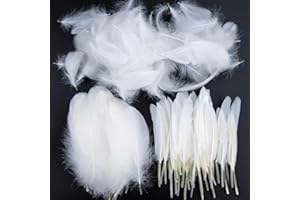 VIDILLO Bunte Federn, 250 Stück Weiß Gänsefedern, ideal als Dekoration zum Karnival für Halloween Fest Masken, Kostüme und Basteln für Kinder, Sicher und Ungiftig und Nicht verblassen