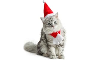 DIYASY Christmas Cat Santa Hat and Scarf，xmas Cat Hats with Scarf -Christmas Costume Set Puppy Kitten Cosplay Adjustable Costume Accessories for Small Pet Cat Dog