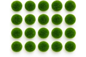 KAKI LA FELICITÀ È NELLE PICCOLE COSE Marimo Set sfuso diametro 2-3 cm - Originale e Certificato - Solo Marimo (20)