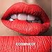 VWH Matte Lip Gloss 22Color Waterproof Sexy Long Lasting Lipstick (1# COQUELICOT)
