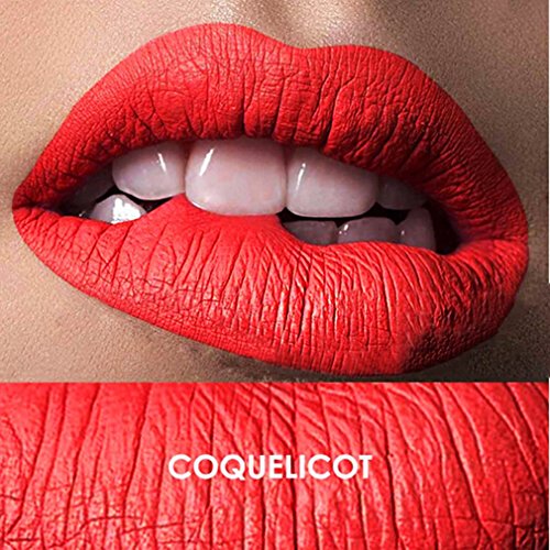 VWH Matte Lip Gloss 22Color Waterproof Sexy Long Lasting Lipstick (1# COQUELICOT)