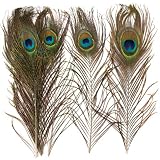 Tamaño medio: 26 cm. Baker Ross- Plumas Naturales de Pavo Real (Pack de 10) para manualidaes Infantiles