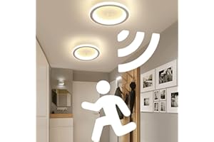 EIDEARAY Modern LED Ceiling Light With Motion Sensor, Movement Sensor Ceiling Lamp Ultra thin Small Round Design Light for Entrance Hallway Aisle Stair Office Kitchen, Warm White LED Energy Saving 20W (White)