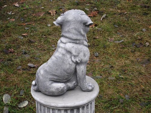 Steinfigur Welpe Hund Mops Gross 27 cm ca.6 kg Frostfest Wasserfest Stein Nr.081 - 8