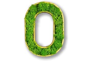 ‎MOOSLY Moosly® Moosbild - O - mit Rahmen aus Holz, Moos Deko Buchstaben Zeichen Symbol Zahl Holzbuchstabe mit echtem Islandmoos Wandtattoo Wandsticker Wandbild selbstklebend Wohnzimmer (116 O)