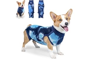 GRANTOP Body Dla Psa Po Operacji Kastracji i Zabiegu Chirurgicznym, Koszule Dla Zwierząt Domowych (Wiązanie, Niebieski, M)