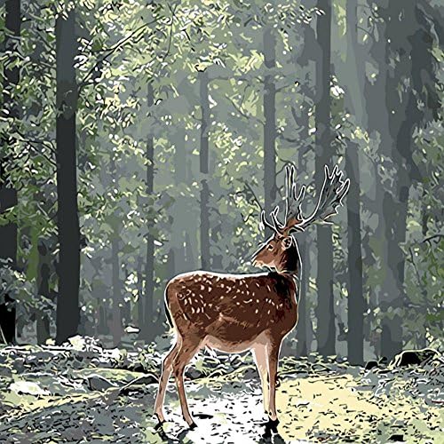 FENGTUO Canvas Diy Oil Painting by Number Kit-The Deer in the Forest Design 16*20 inches ( Framed )