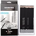 eS³kube Artist Quality Fine Art Drawing & Sketching Pencils - Set of 24 pencils