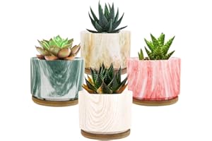 Lewondr Macetas de Cerámica para Flores y Plantas, [4 PZS / 9 x 9 x 6,5 cm] Conjunto de Contenedor Plantador con Bandeja de Bambú y Agujero para Suculenta Cactus Oficina Casa Ventana, Multicolor