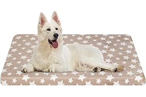 EMPSIGN Panier pour Chien XXL, 122x76x6,6cm, Coussin Chien Grand Taille Lavable en Machine, Tapis pour Chien Imperméable, Matelas Chien Réversible (Frais et Chaud), Beige