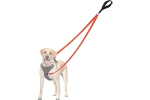 PetBonus Laisse Anti-Traction pour Chien, Double Laisse Anti-Traction réfléchissant, pour l'entraînement et la Marche, pour Chiens de Grande Taille et Moyenne (Orange)
