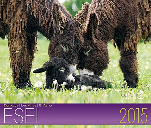 Esel Kalender 2015: Geliebte Esel