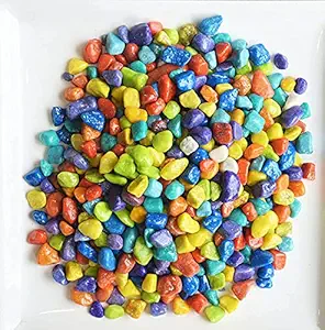 My Interior Market Multi Colored Stone Pebbles for Garden and Home Decoration 500gm Pebbles in Multi Color