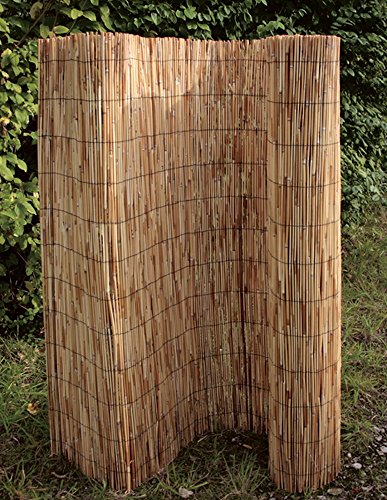 Preisvergleich Produktbild Schilfrohrmatte 120x600cm