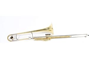 Roy Benson Bb valve trombone VT-227 (campana in ottone Premium da 8", tubo principale e archetto in alpacca, 3 valvole in acciaio inox, strumento di punta per musicisti professionisti)