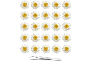 YOUTHBRO YoothBro White Dried Daisy Pressed Flowers 60Pcs Real Nature Flowers Set for Resin DIY Jewelry Candle Soap Vase Making Nail Card Scrapbook Art Craft Floral Decor