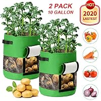 Bolsas para plantas | Amazon.es