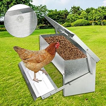 Galvanised Poultry Treadle Feeder 7 5kg 15kg Amazon Co Uk Pet