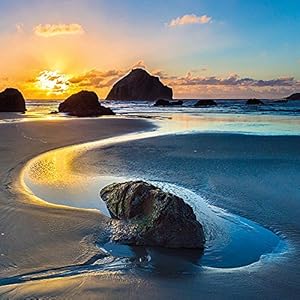 Meditation 2016: Kalender 2016 (Mindful Editions)