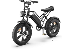 SHIZHUNIAO Bici Elettrica, 20" x 4.0 Fat Bike Elettrica con 48V 18AH Batteria al Litio Rimovibile, Bicicletta Elettrica Uomo Donna, Fino a 55-110km, Mountain Bike Urbana con Doppio Assorbimento Degli Urti