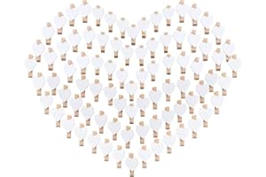 BLISSIQUEE 100 Herz Wäscheklammer klein, Holzklammern Holzwäscheklammern Mini klein 3,5cm für Foto Handwerk Clips Deko Fotos Fotowand Bilder Collagen Postkarten Geschenke, Hochzeit, Adventskalender Deko(Weiß)