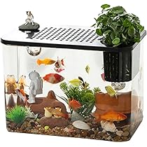 Acquario Da Tavolo Per Pesci Betta 32x18.5x23cm - Piccolo Serbatoio Trasparente Per Pesci Rossi E Tartarughe - Foto 4