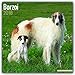 Produktbild Borzoi – Russischer Wolfshund 2018: Original Avonside-Kalender [Mehrsprachig] [Kalender] (Wall-Kalender)