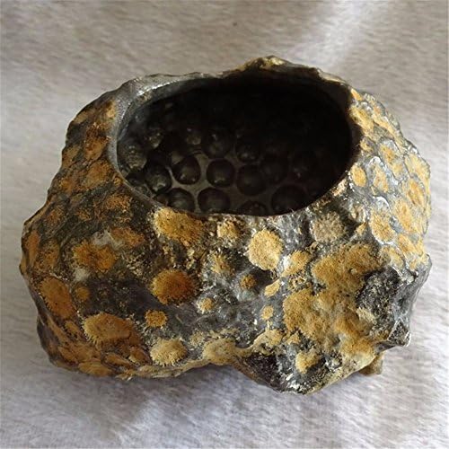 Coral raw stone ashtray honeycomb stone can be used for fish tank pots coral fossil ornaments, 112 * 88 * 45MM