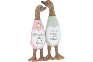 Shudehill Giftware Daisy Message Cute Wooden Duck Ornament - Mum, Nan, Friends, Family and More Sentimental Messages, Gift Ideas For Her (Friendship)