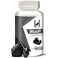 H&C 100% Natural Shilajit Capsules As Dietary Supplements - 450mg (120 Capsules) | for Men Overall Wellness