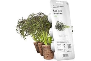 Click and Grow Roter Rüschensenf 3 pack Nachfüll Plant Pods Substratkapsel für Smart Garden