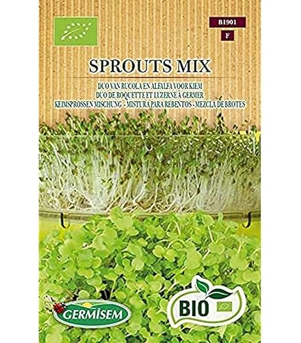 Graines Betterave Bio Pour Micro-Pousses - Mélange Pour Germination - Aliment Santé Riche En Vitamines