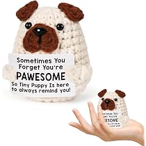Gehäkeltes Kapibara-Kuscheltier – Emotional Support Geschenk, Pocket Hug, Mit Inspirationskarte