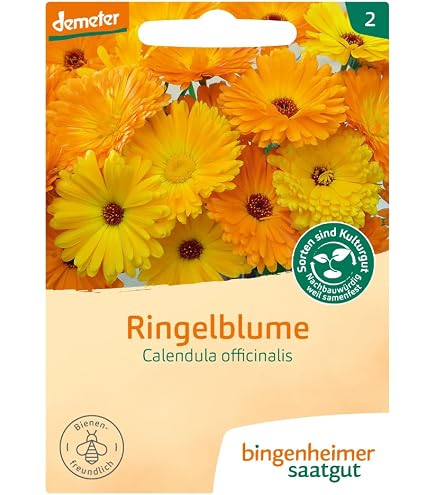 saatgut blumenwiese schatten RiegerHofmann Saatgut  Blumenwiese mit heimischen Arten  WildLand