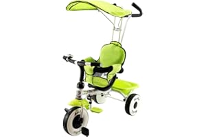 DREAMADE 4 en 1 Tricycle Evolutif Enfant 1-4 Ans avec Auvent,Barre de Poussée,Garbe-Corps,Panier de Rangement,3 Roues,Kit d’Accessoires pour Filles,Garçons Vert/Rouge (Vert)