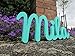 Personalised Name Signs and Plaques, Amber, Nursery Decors, Christening Gift, Birthday, New Baby, Mia Workshop