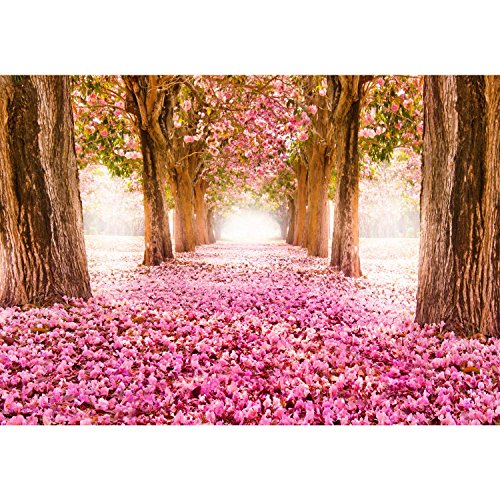 Fototapete Allee 308 x 220 cm – Vliestapete – Wandtapete – Vlies Phototapete – Wand – Wandbilder XXL – !!! 100% MADE IN GERMANY !!! Runa Tapete 9044010b - 6