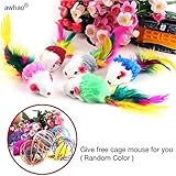 Liroyal Katzenspielzeug