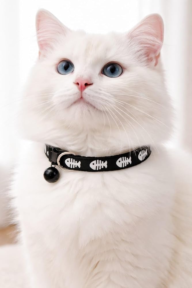 KEDİ BOYUN TASMASI ZİLLİ VE AYARLANABİLİR SİYAH