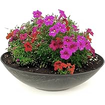 Ciotola In Vetro Per Candele Ø19x8 Cm - Spessa, Trasparente, Per Decorazione O Portacandele - Foto 4