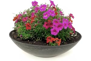 MATCHES21 HOME & HOBBY matches21 Plato Redondo Redondo para Plantar Maceta Maceta con Flores Maceta de plástico Aspecto mármol Gris 1 ud. Ø 35x10 cm