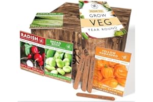 THE LITTLE TREES BEES & SEEDS COMPANY Vegetable Seeds for Gardening, 25 Heirloom Seed Varieties Included in This Grow Your Own Vegetable Kit, The Little Trees Bees and Seeds Company